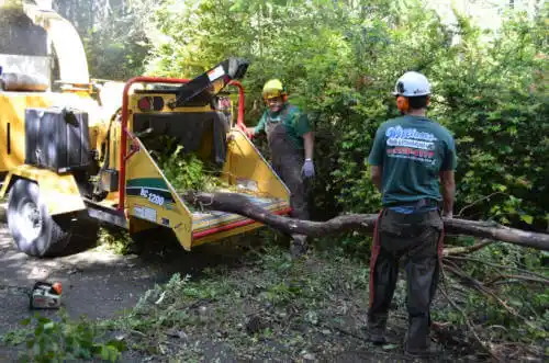 tree services Salton City